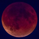 Illustration for article titled 34 Amazing Photos Of The Super Blood Moon